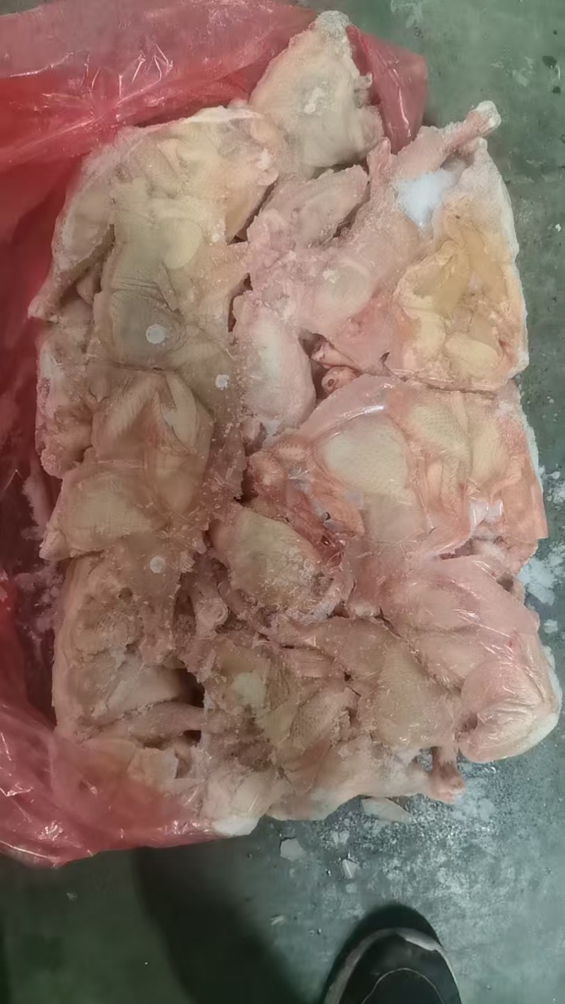 次西装