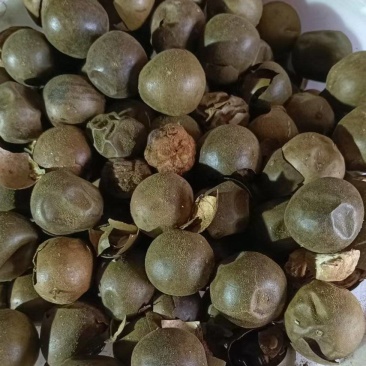 工厂直供，罗汉果，破果，烂果、泡茶、做调料、果皮、提取果