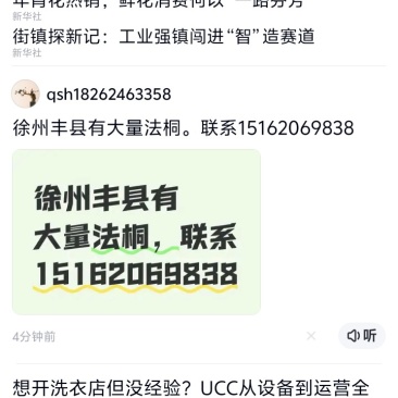 徐州丰县法桐基地新型法桐各种规格