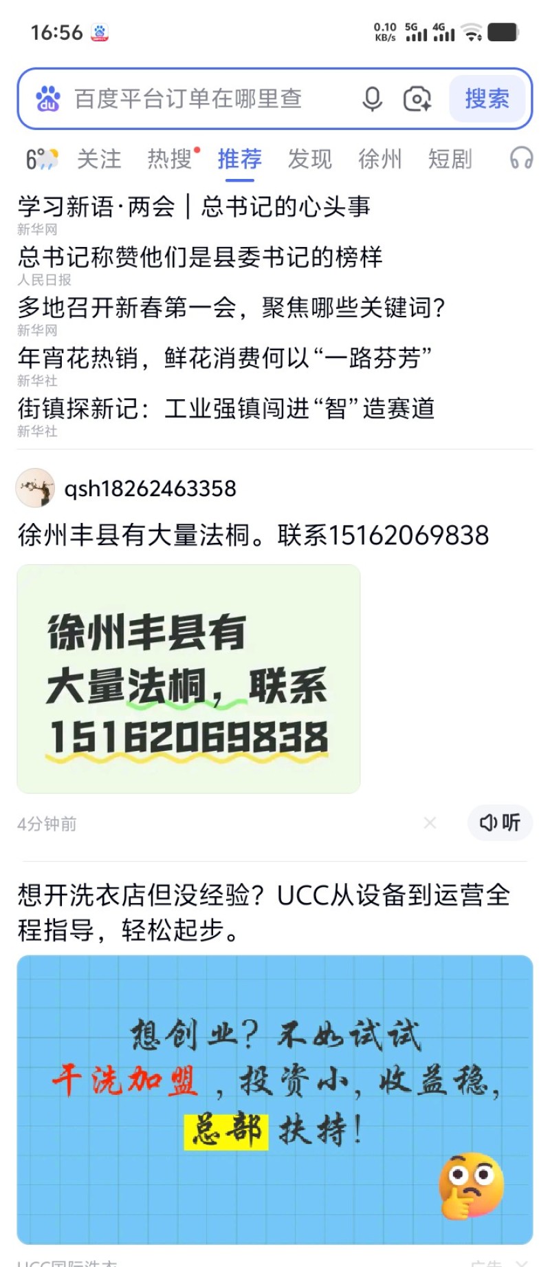 徐州丰县法桐基地新型法桐各种规格