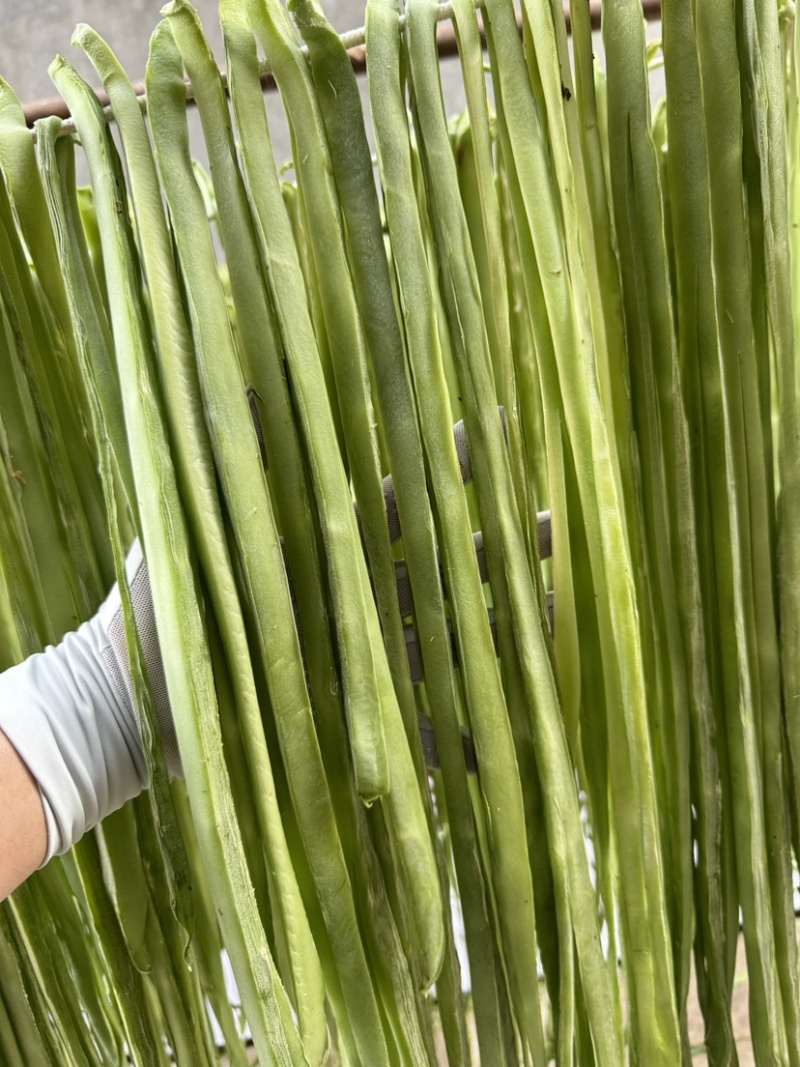 大理贡菜基地批发质量保证品质高价格实惠需要联系大量现货有