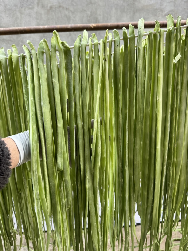 大理贡菜基地批发质量保证品质高价格实惠需要联系大量现货有