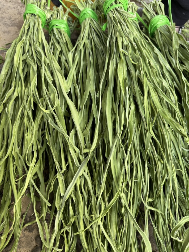 大理贡菜基地批发质量保证品质高价格实惠需要联系大量现货有