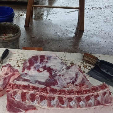 自产自销跑山猪，小时候纯母乳慢慢配合纯粮食养。跑的真快😂