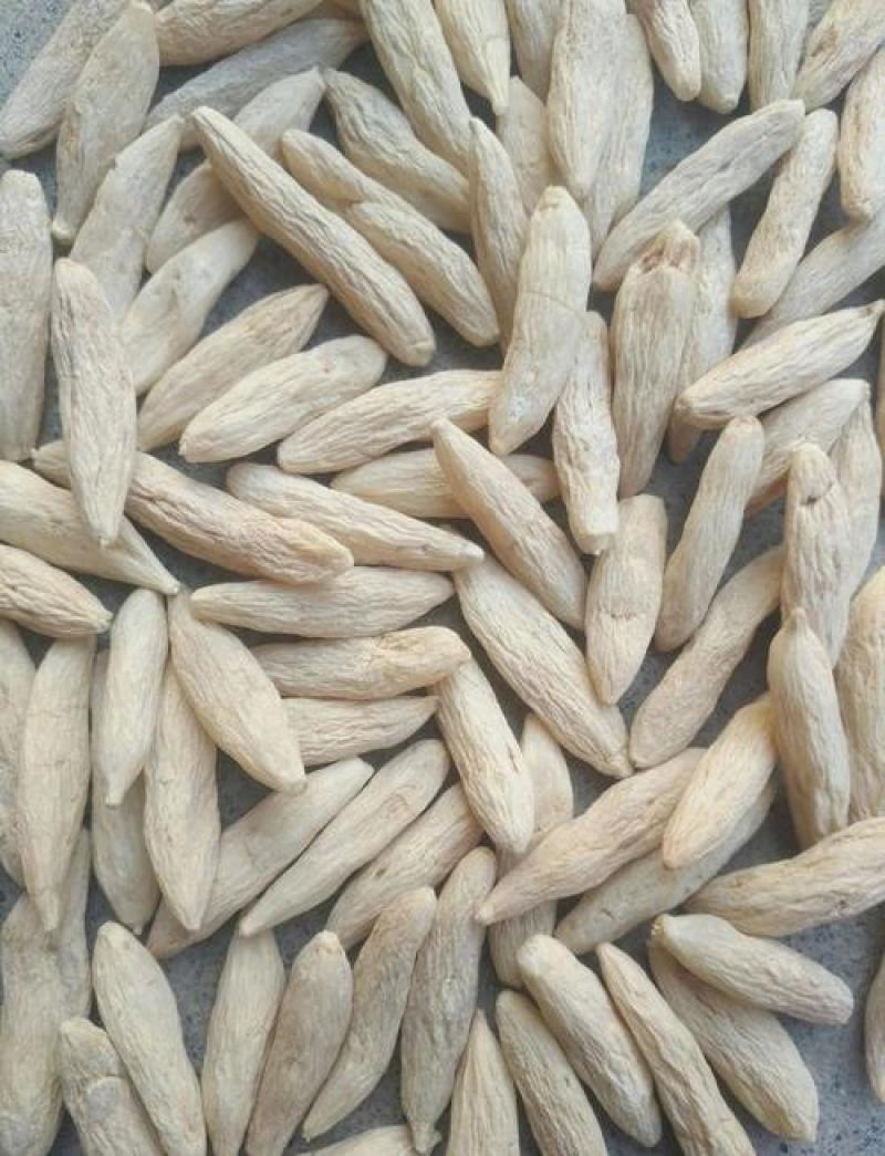 中药材麦冬大量供货产地直销（麦冬颗麦冬根麦冬片）