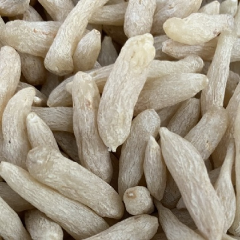 中药材麦冬大量供货产地直销（麦冬颗麦冬根麦冬片）
