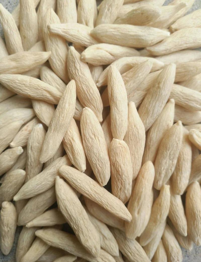 中药材麦冬大量供货产地直销（麦冬颗麦冬根麦冬片）