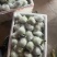 台湾珍珠番石榴