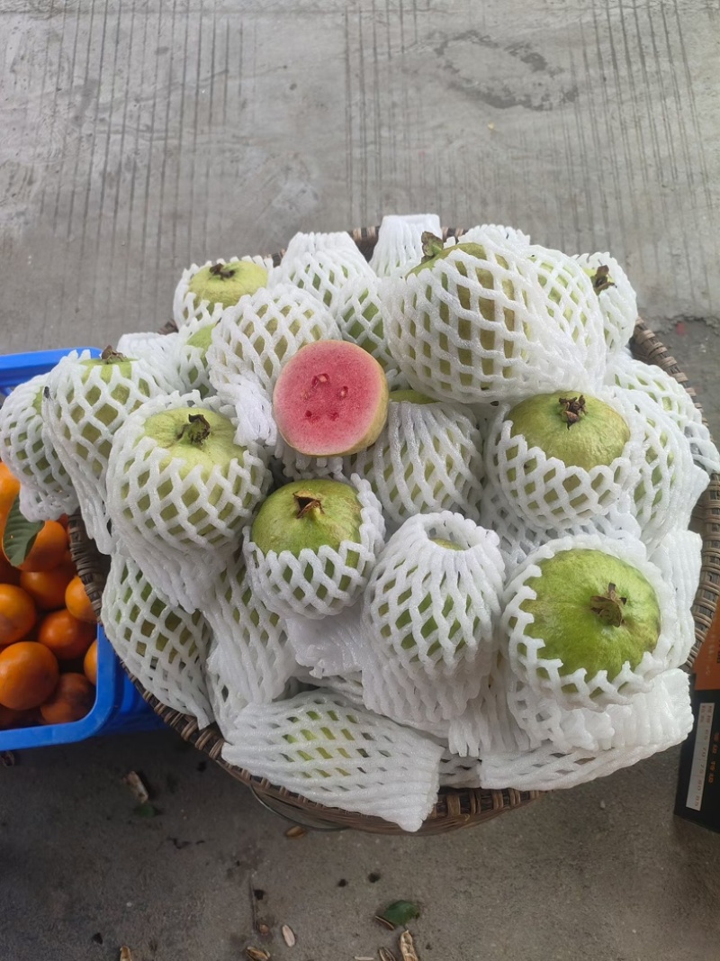 西瓜红芭乐