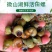 微山湖淡水田螺，螺蛳大量现货，剪尾吐沙物美价廉，，