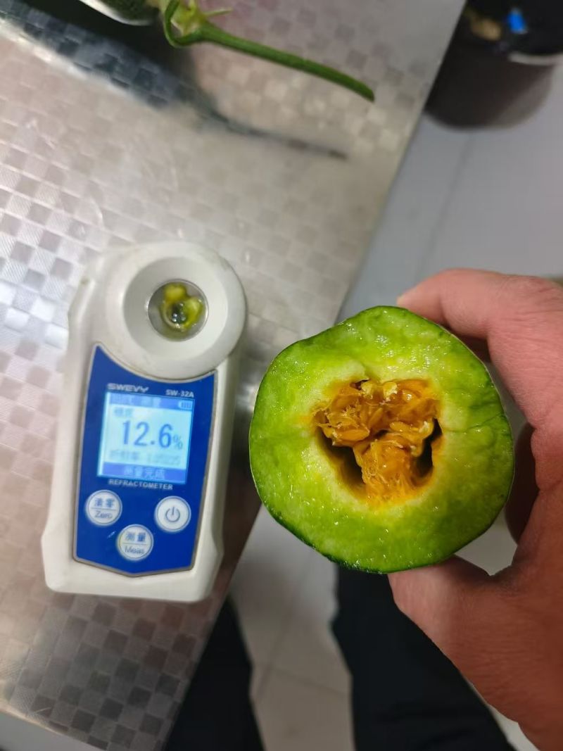 头茬羊角蜜支持一件代发，社区团购，对接各大水果市场