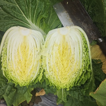 3到7精菜