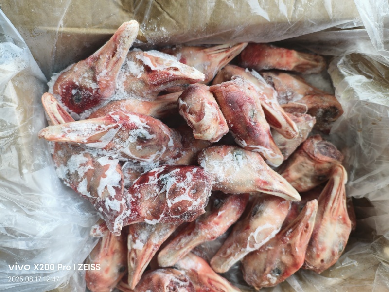 仔鹅头，厂家直发，新鲜货熟食店饭店都可以