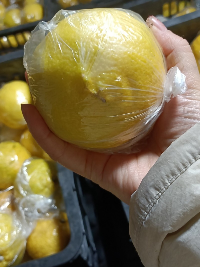 岩垅黄金贡柚
