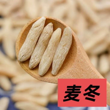正品当季新货麦冬颗粒饱满