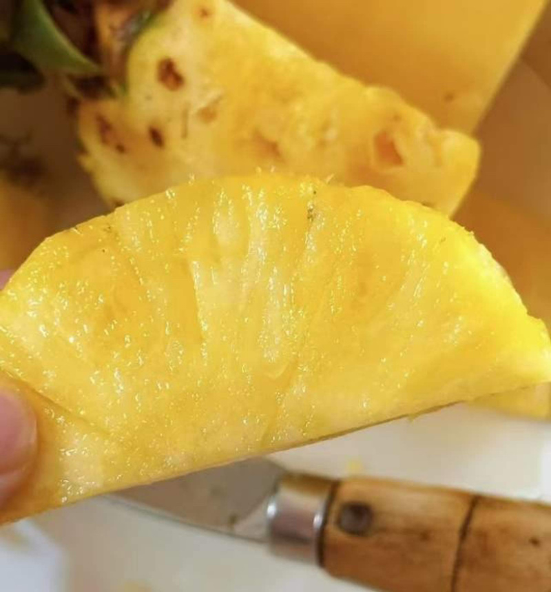 海南金钻凤梨自然熟，大量上市