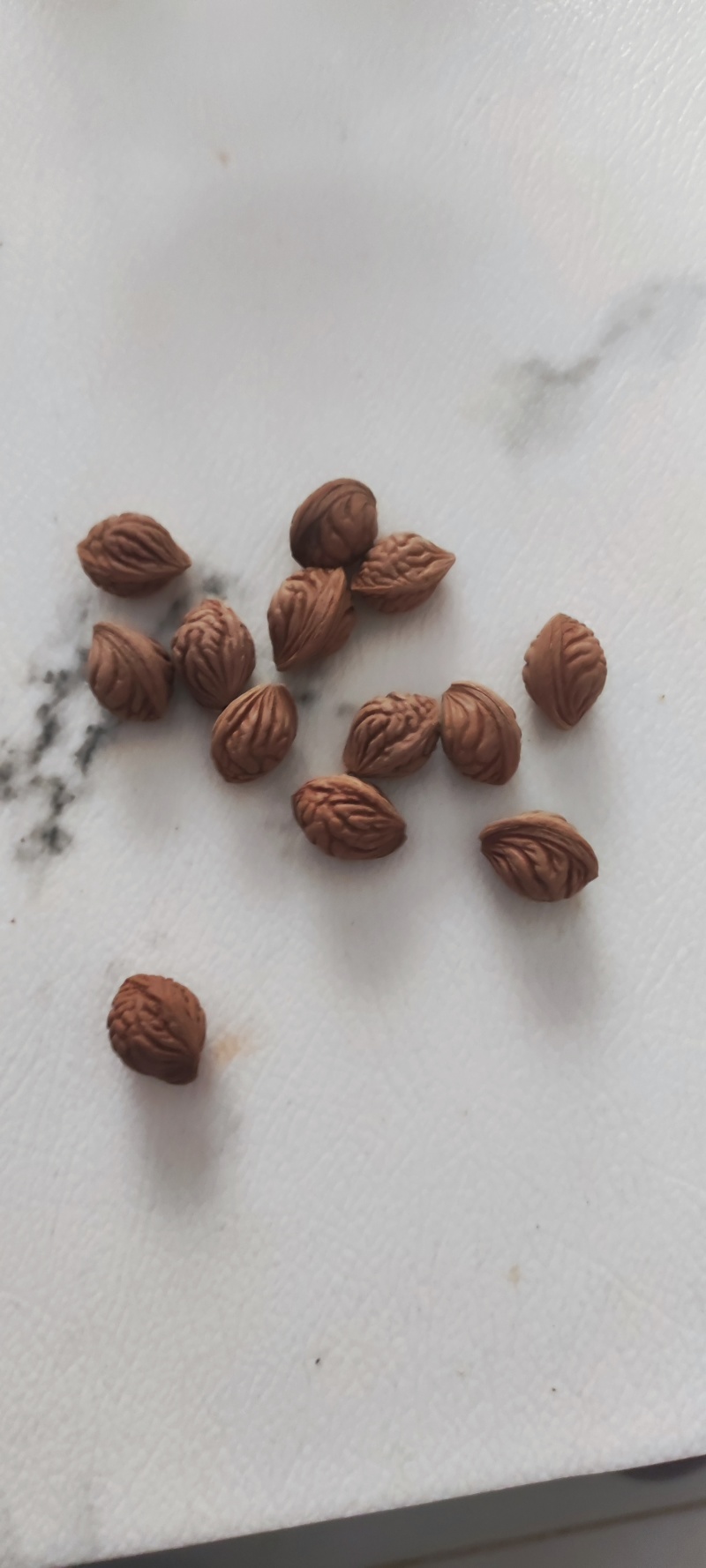 秦岭山脉末端洛河大山里的礼物