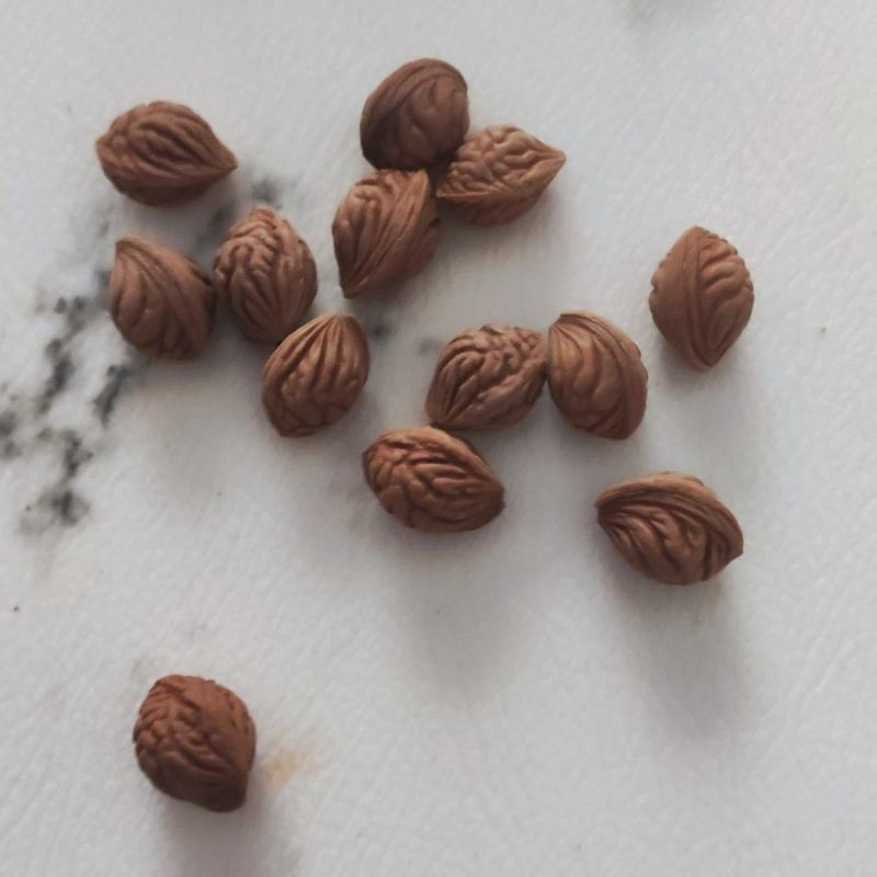 秦岭山脉末端洛河大山里的礼物