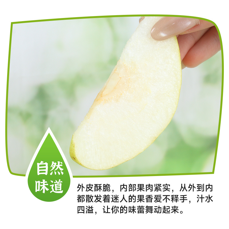 隰县玉露香梨