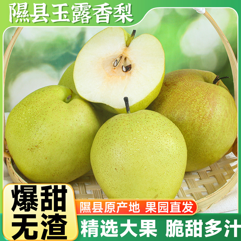 隰县玉露香梨