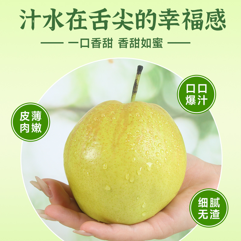 隰县玉露香梨