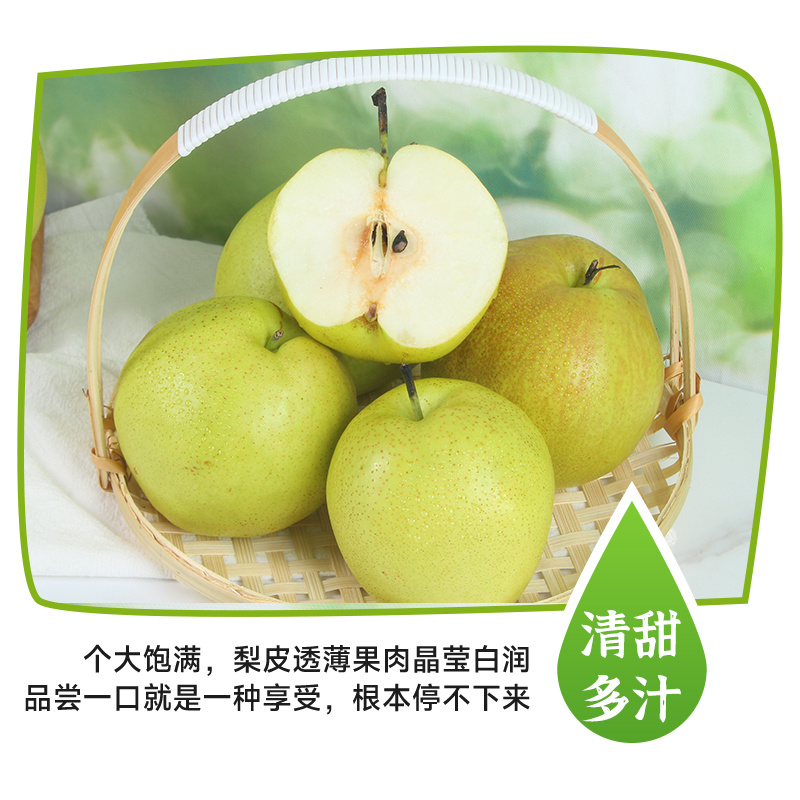 隰县玉露香梨