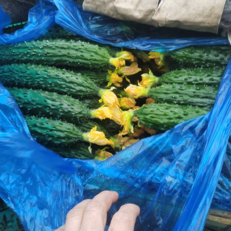大花3.4小花2.8干花2.4