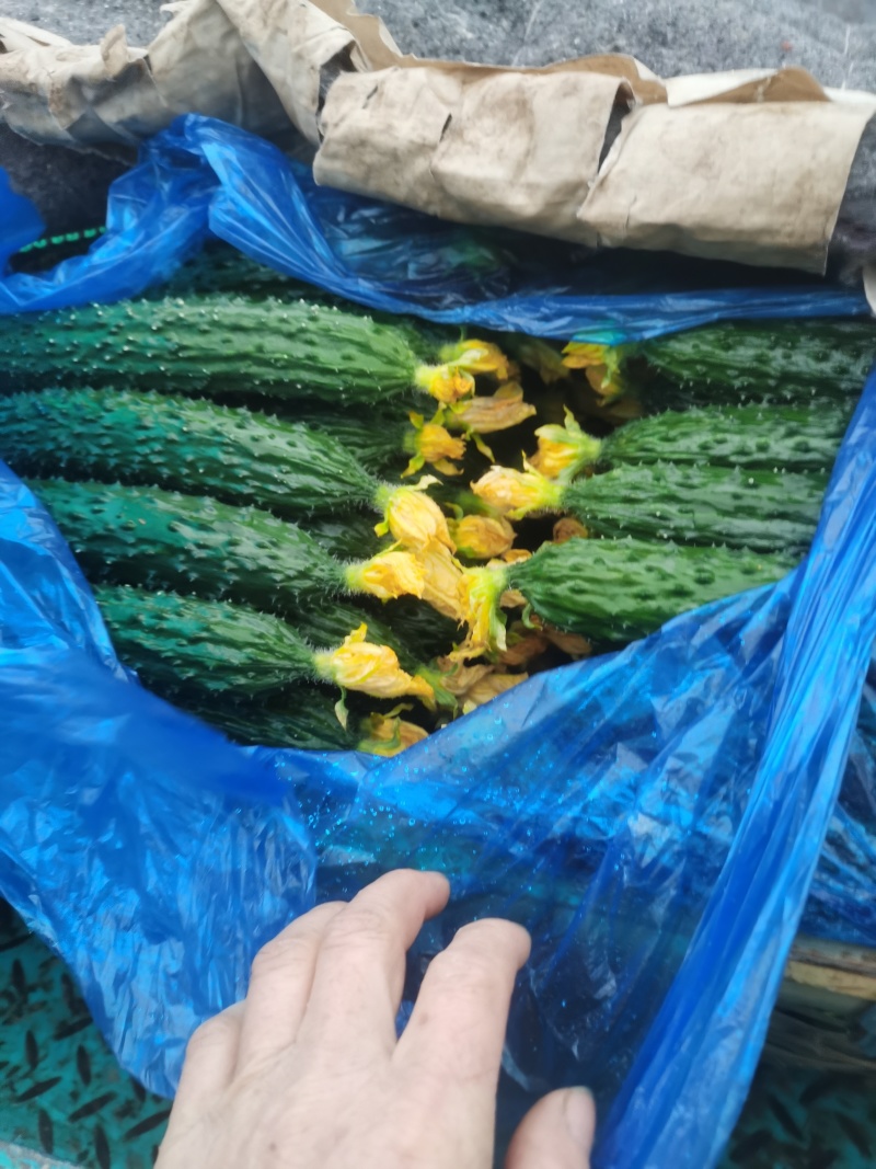 大花3.4小花2.8干花2.4