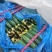大花3.4小花2.8干花2.4