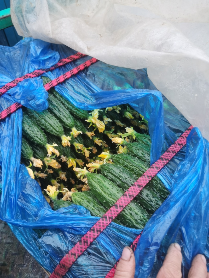 大花3.4小花2.8干花2.4