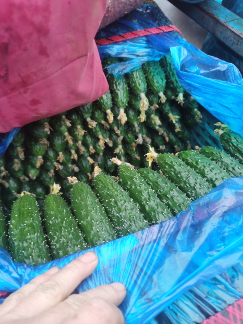 大花3.4小花2.8干花2.4