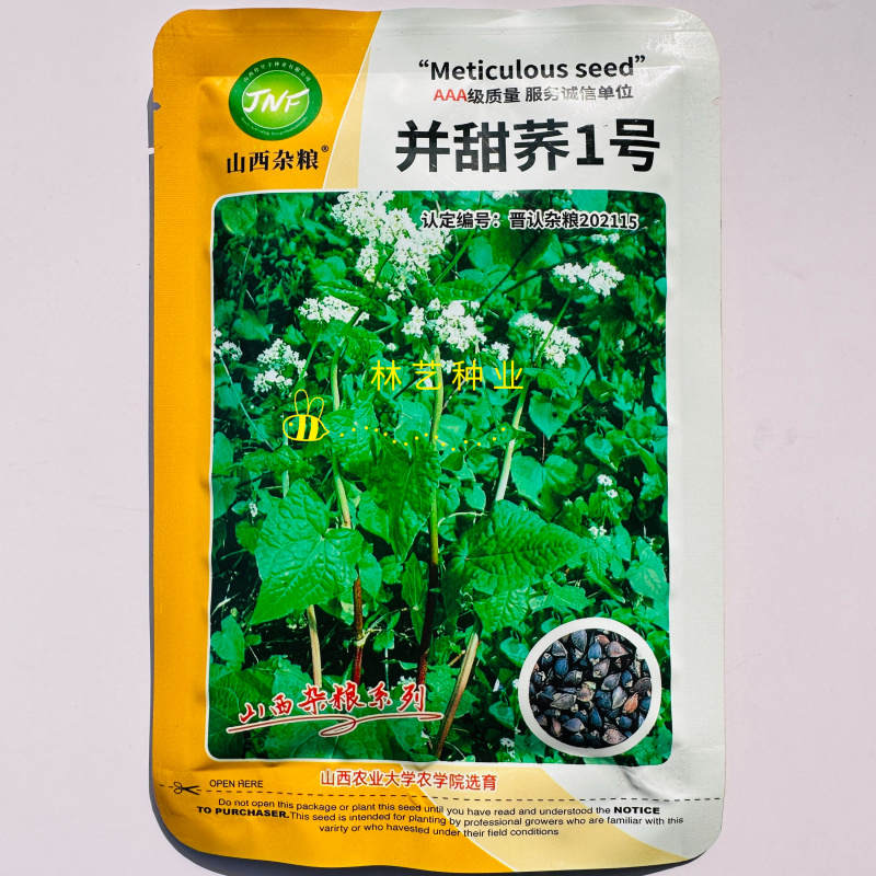 并甜荞1号荞麦种子杂交高产抗病耐热耐寒春秋播种荞麦种子