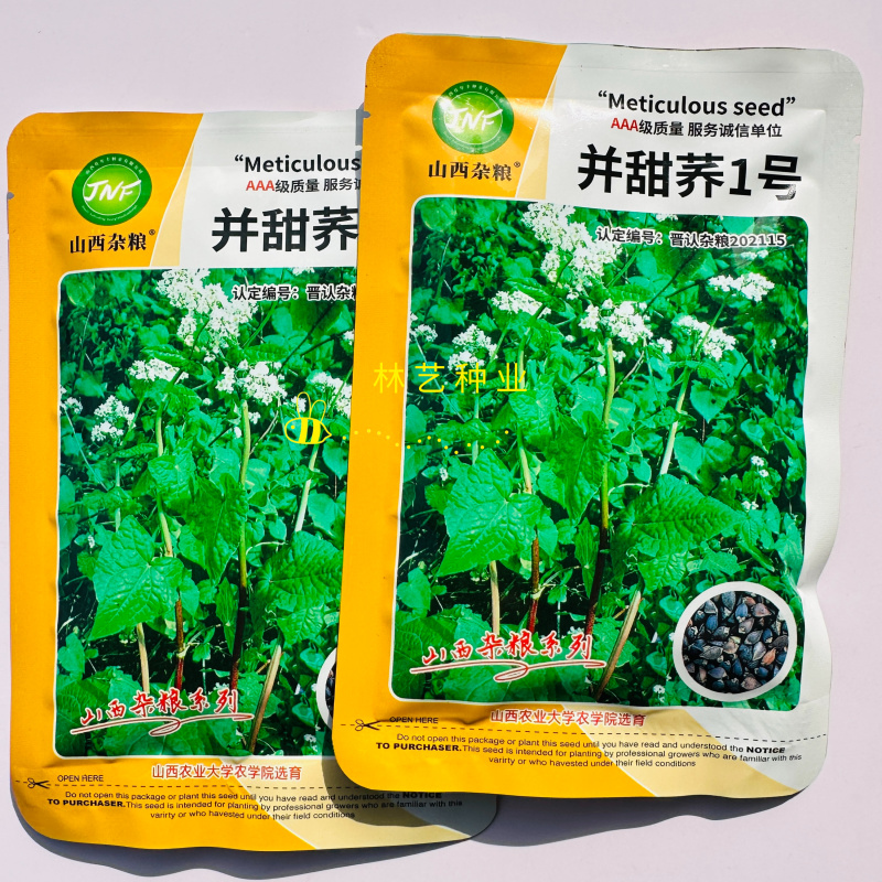 并甜荞1号荞麦种子杂交高产抗病耐热耐寒春秋播种荞麦种子
