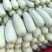 羊角蜜博洋61全国主产区赶集电商商超一手货源