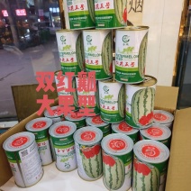 红花五号中熟黄白皮双红瓤抗旱性好含糖高30斤以上