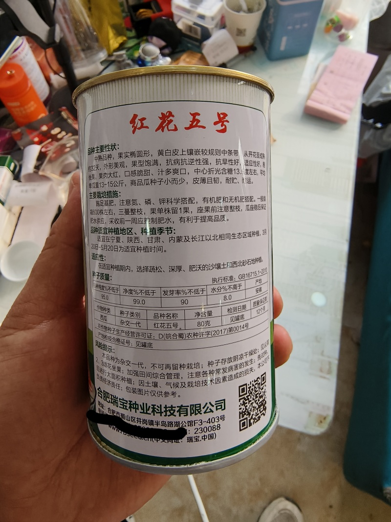 红花五号中熟黄白皮双红瓤抗旱性好含糖高30斤以上