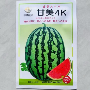 甘美4K西瓜种子中早熟西瓜种籽花皮椭圆硬薄皮耐贮运大田西