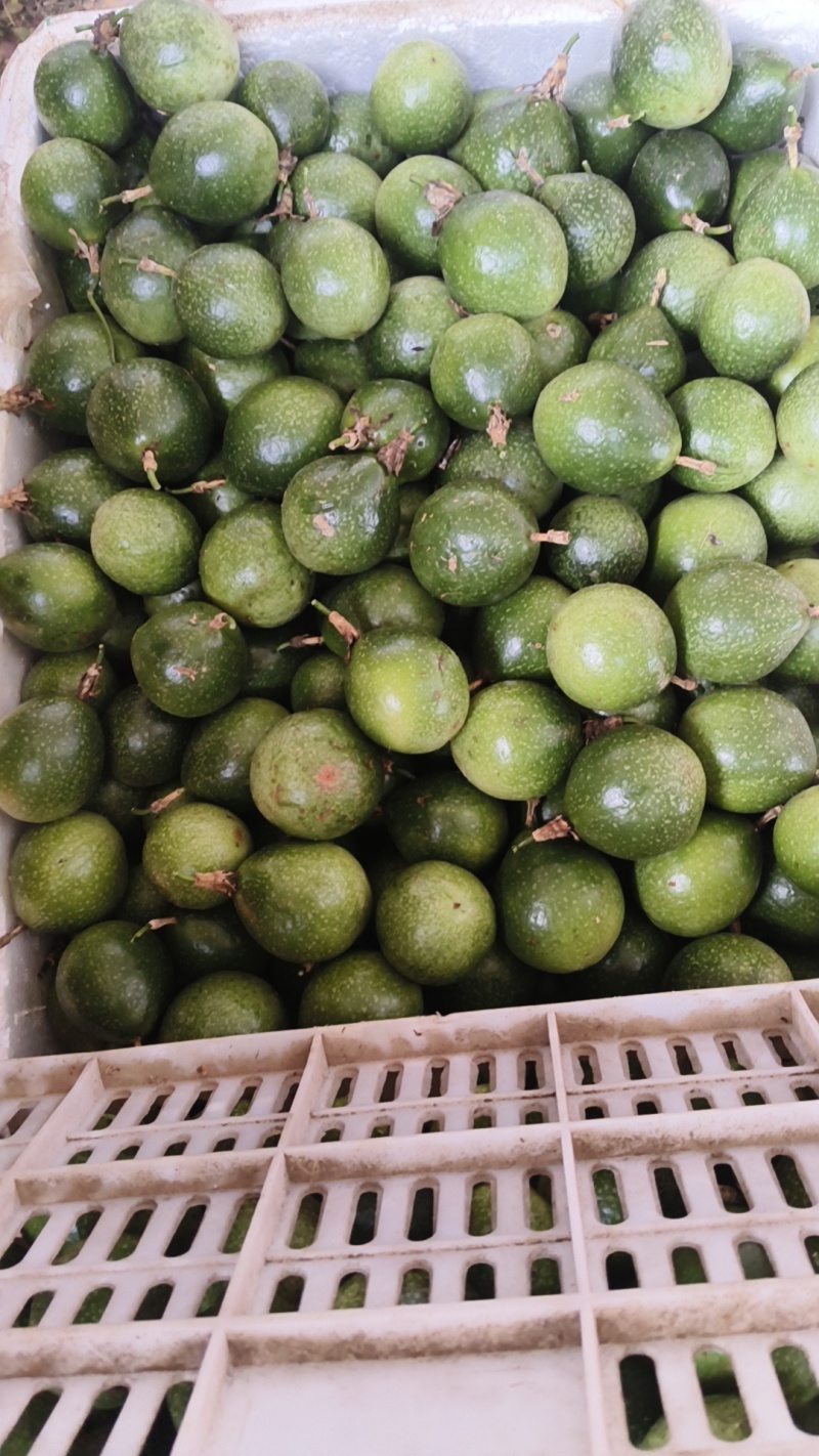 黄金百香果