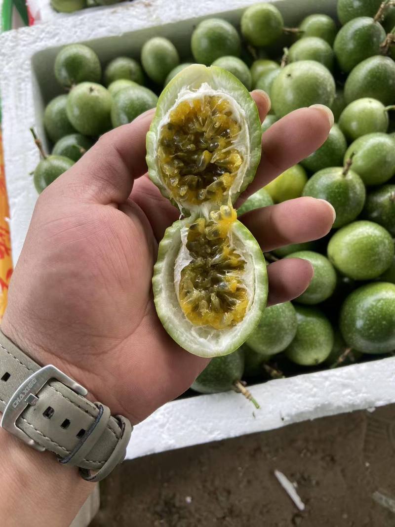 黄金百香果