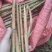 苦笋甜笋大量批发，量大价优，产地直发，欢迎咨询
