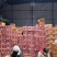云南特产甜酸角酸甜可口大直角产地直发一件代发