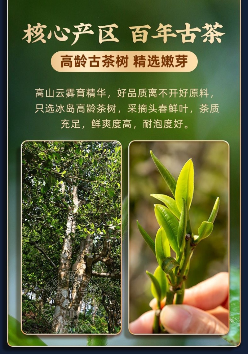 250g刮风寨生茶叶古树茶生普洱茶头春生普迷你小沱茶小饼