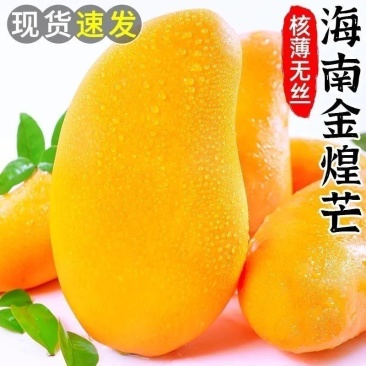 一件代发海南金煌芒对接电商平台社区团购