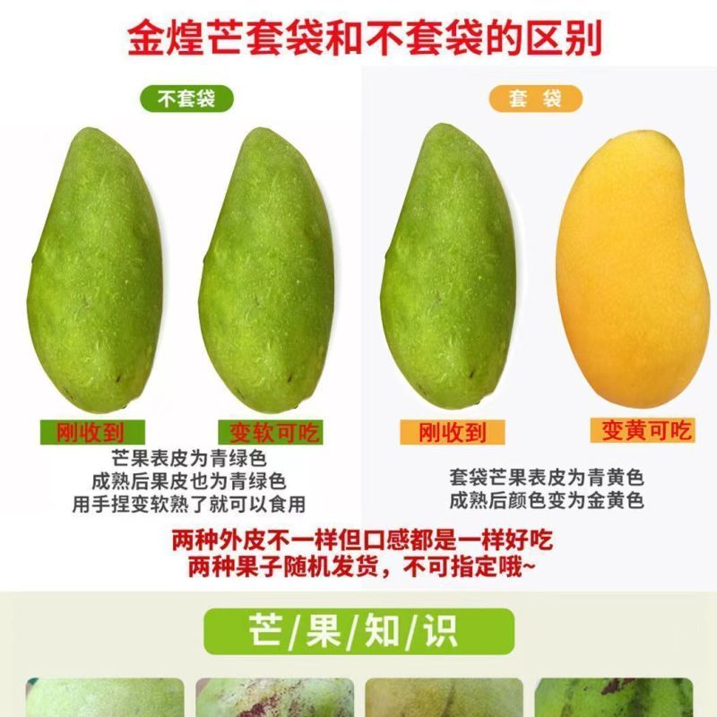 一件代发海南金煌芒对接电商平台社区团购