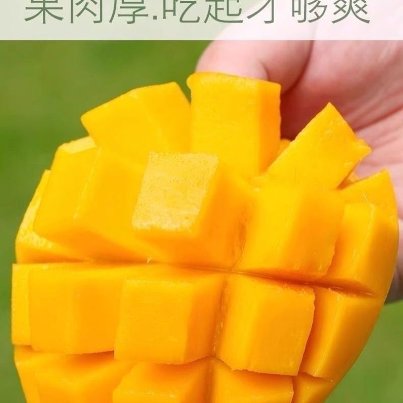 一件代发海南金煌芒对接电商平台社区团购
