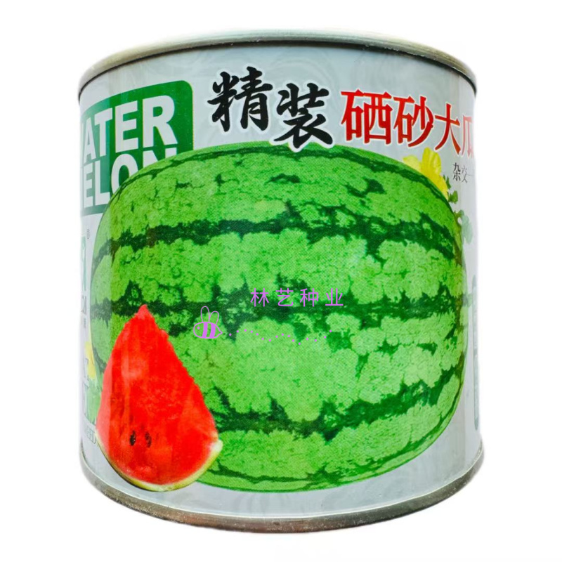 精装硒砂大瓜西瓜种子籽春夏播种大果型西瓜种籽易坐果耐重茬