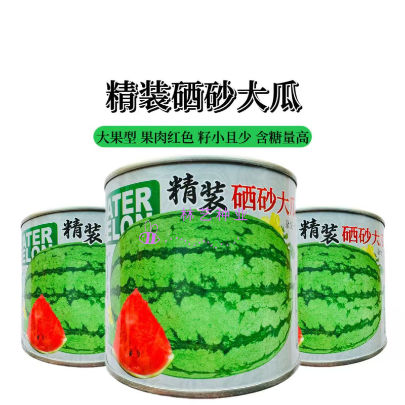 精装硒砂大瓜西瓜种子籽春夏播种大果型西瓜种籽易坐果耐重茬