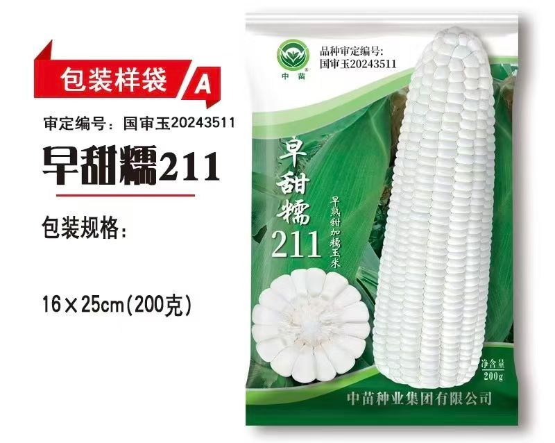中苗早甜糯211玉米种子矮杆大棒早熟甜加糯玉米种子白甜糯