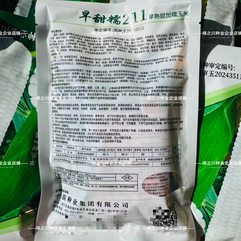 中苗早甜糯211玉米种子矮杆大棒早熟甜加糯玉米种子白甜糯