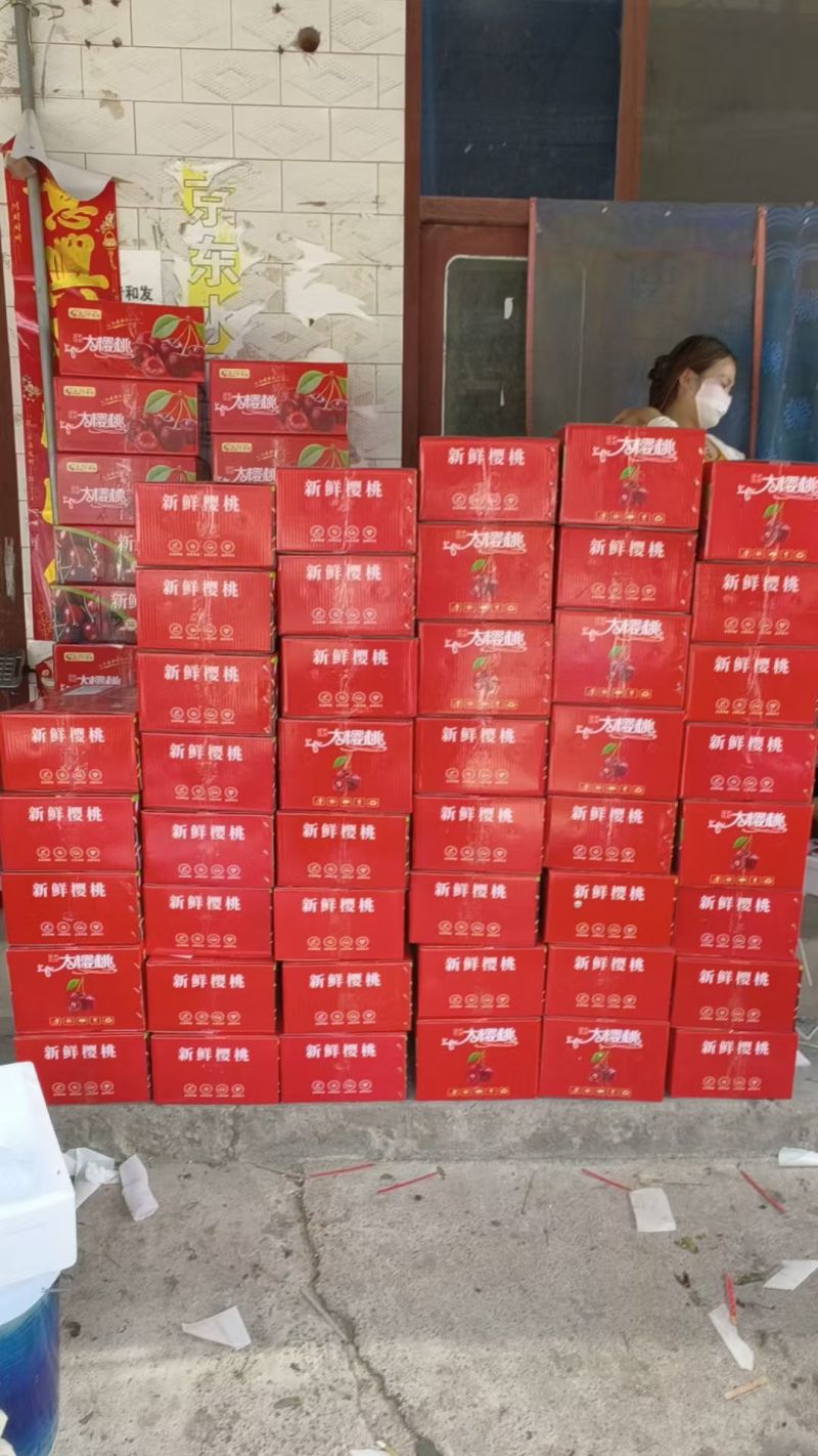 山西樱桃，明5-5普鲁克斯美早艳阳，萨美特等品种俱全，